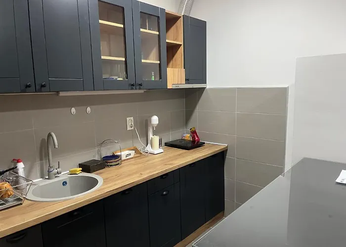 Lejlighed Penthouse Užice